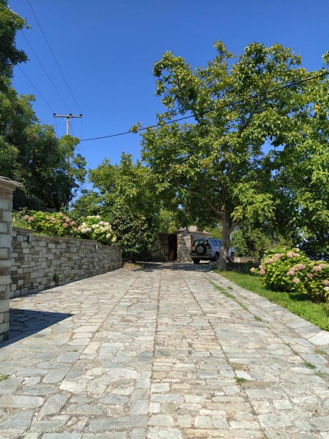Villa Katerina Tsagarada Bagian luar foto