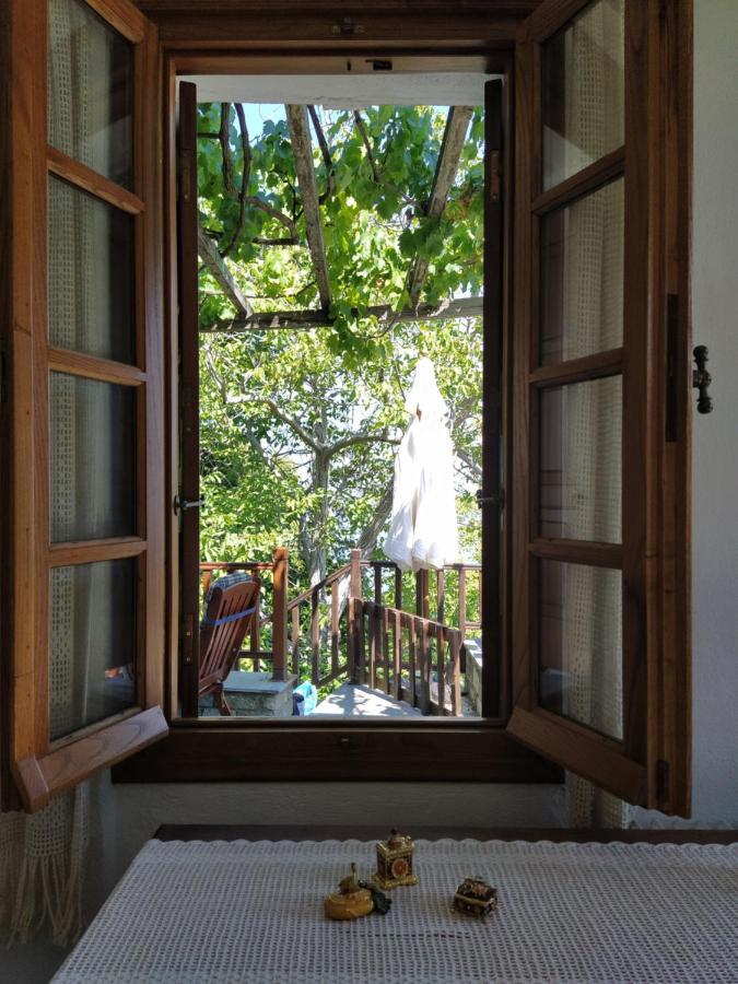 Villa Katerina Tsagarada Bagian luar foto