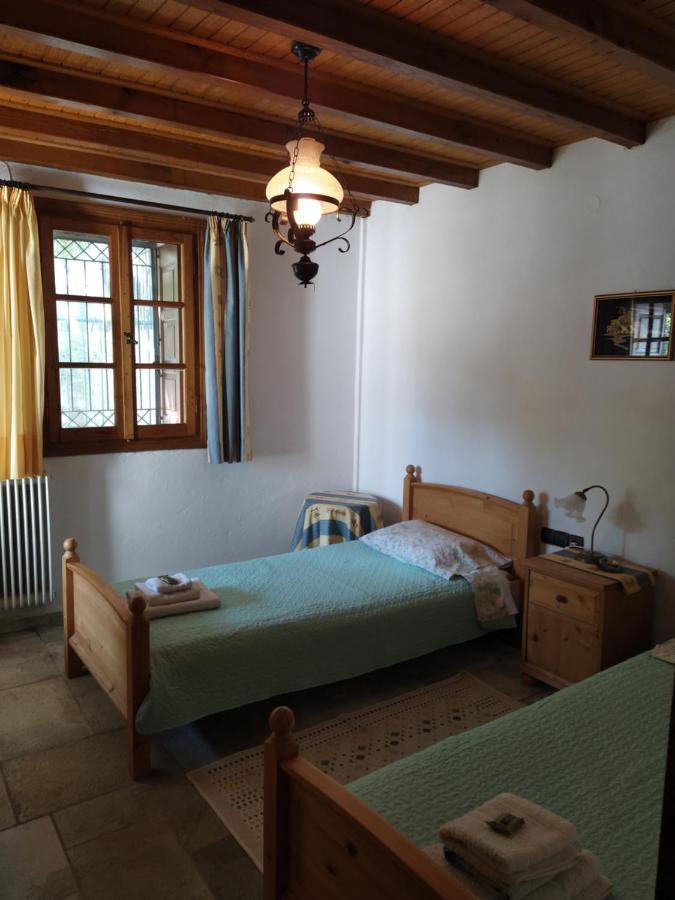 Villa Katerina Tsagarada Bagian luar foto