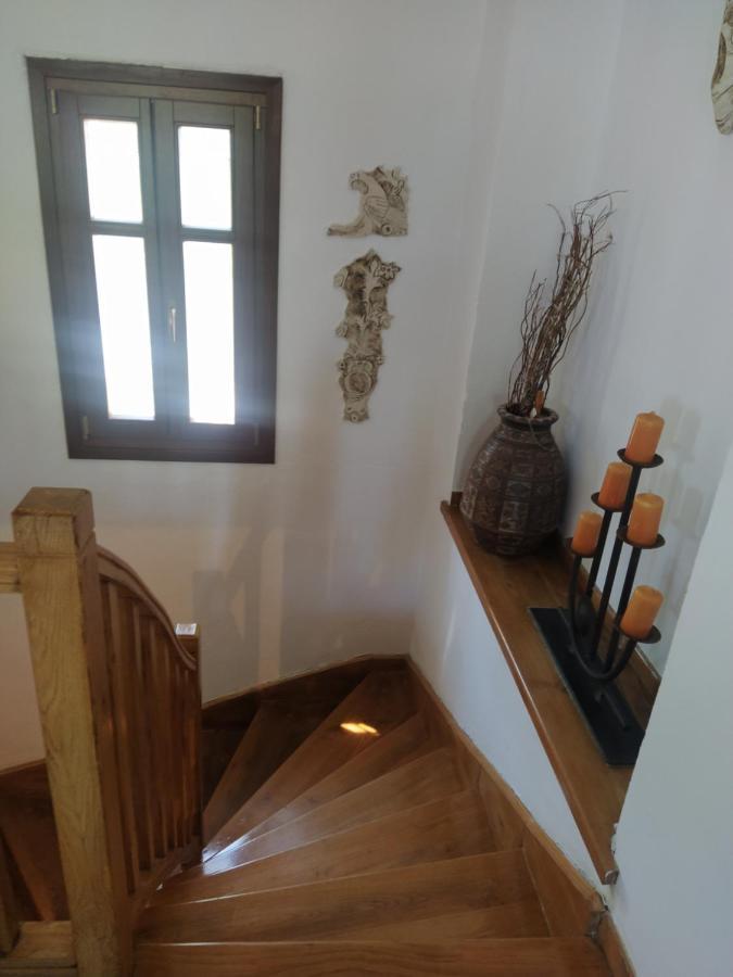 Villa Katerina Tsagarada Bagian luar foto