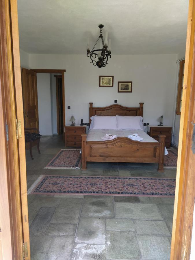 Villa Katerina Tsagarada Bagian luar foto