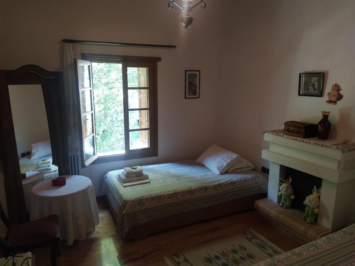 Villa Katerina Tsagarada Bagian luar foto