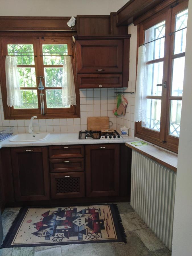 Villa Katerina Tsagarada Bagian luar foto