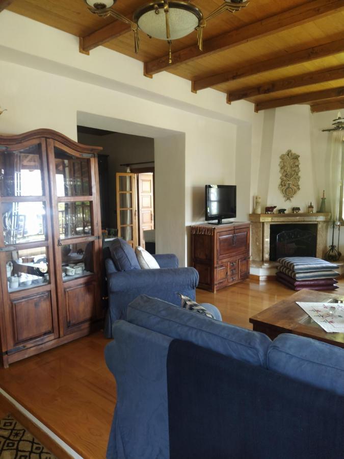 Villa Katerina Tsagarada Bagian luar foto