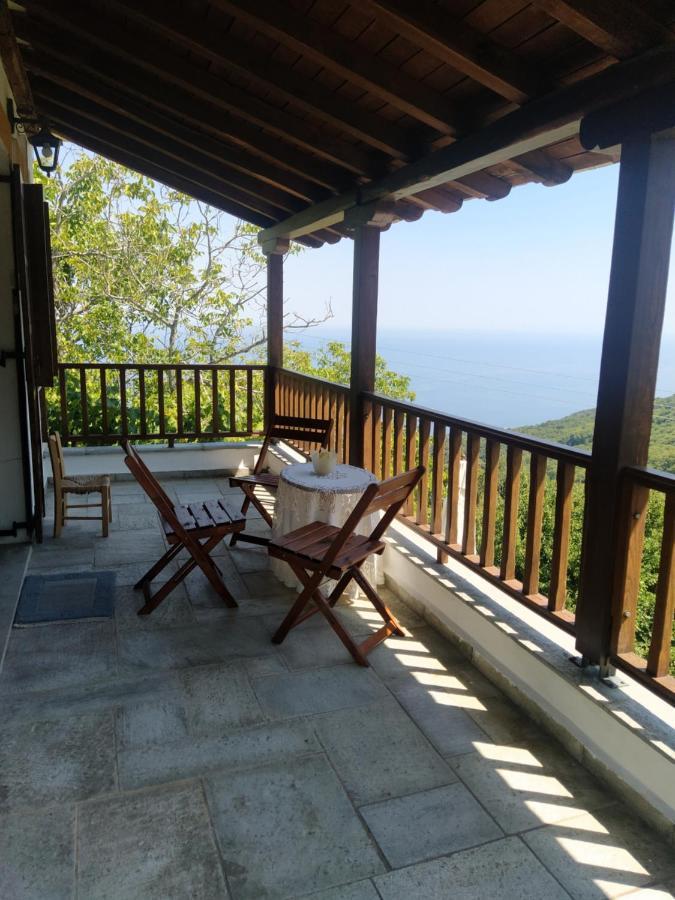 Villa Katerina Tsagarada Bagian luar foto