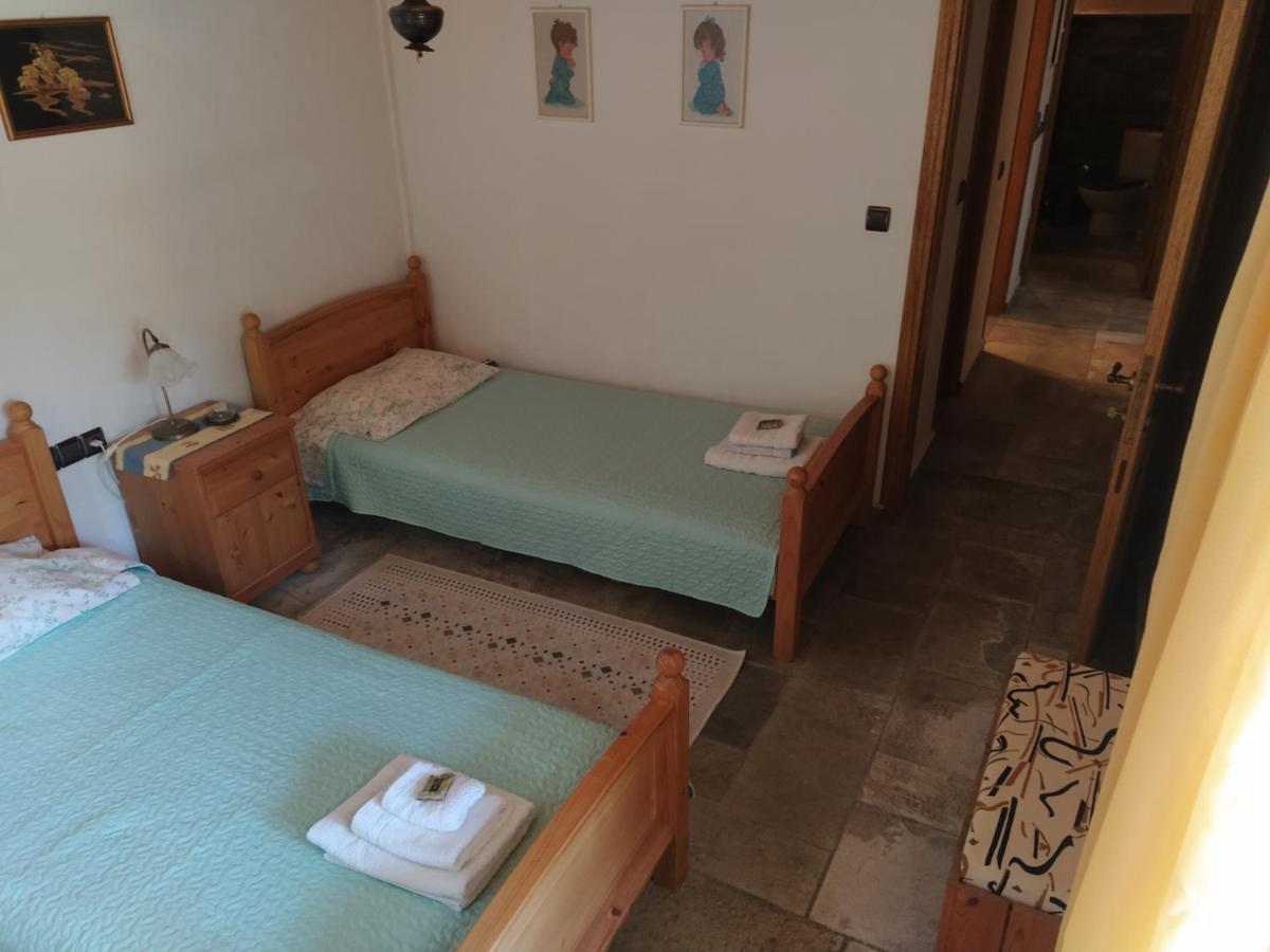 Villa Katerina Tsagarada Bagian luar foto