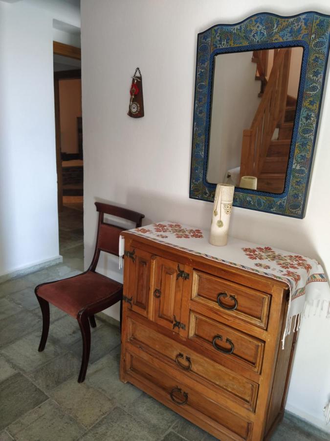 Villa Katerina Tsagarada Bagian luar foto