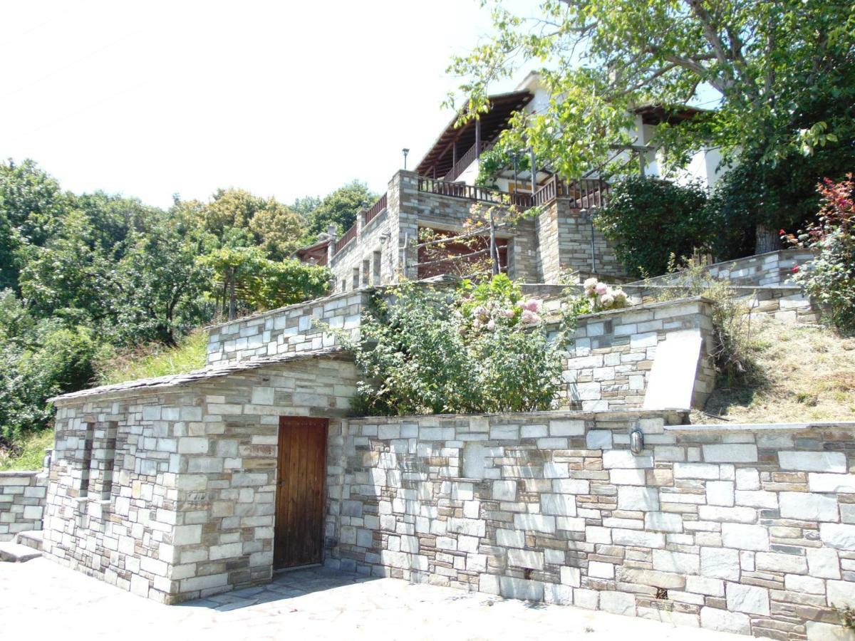 Villa Katerina Tsagarada Bagian luar foto